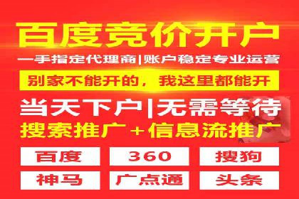 网络营销实战：成功竞价推广案例分析